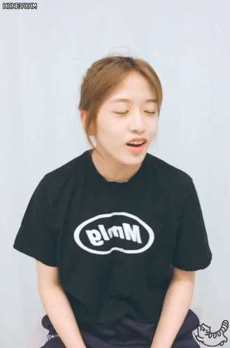 img.gif