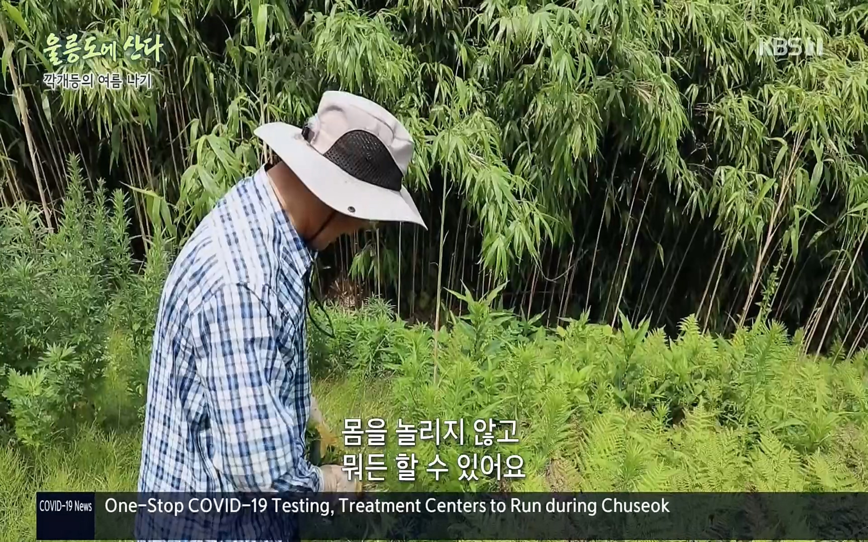 다큐울릉도에산다.E01.220909p.H264-F1RST.mp4_20220912_180559.326.jpg