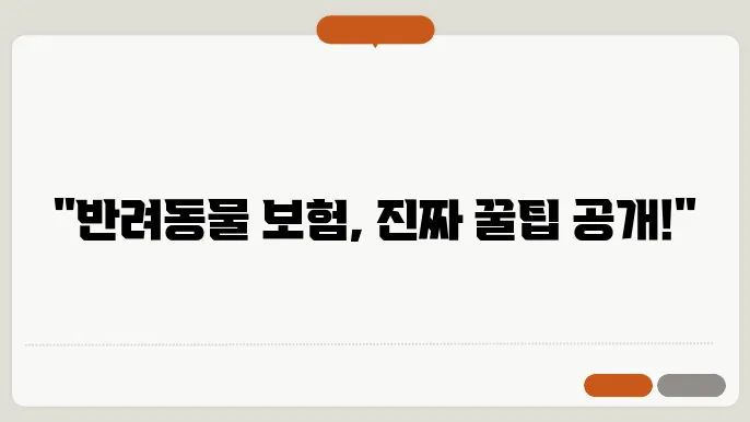 반려동물 보험 옵션, 어떤 선택이 가장 좋을까?