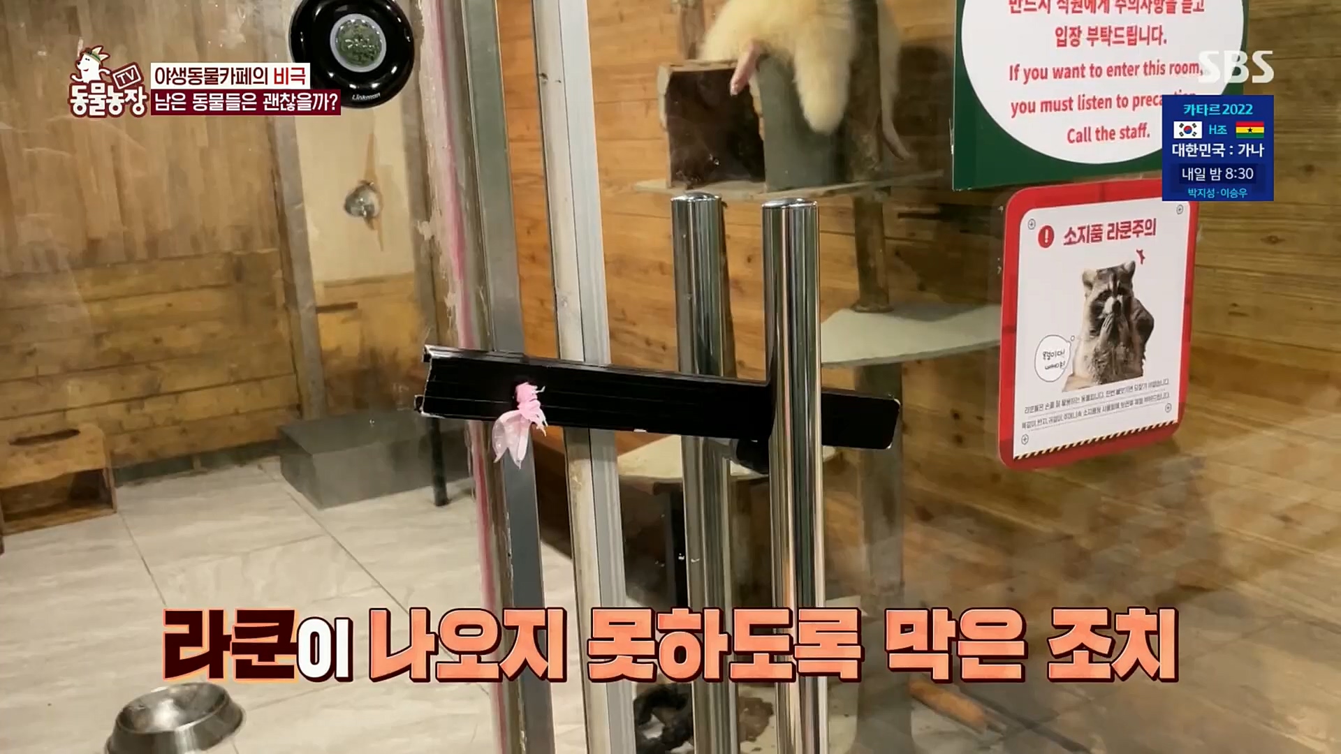 TV 동물농장.E1097.221127p.H264-F1RST.mp4_20221127_181717.602.jpg