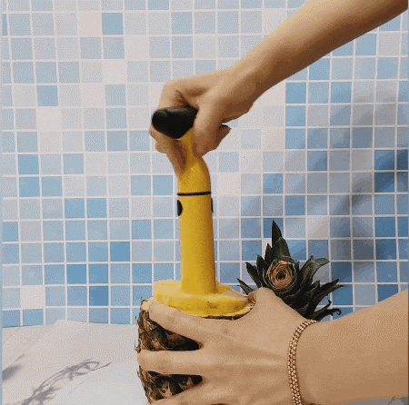 파인애플자르기 :: 칼 & 19