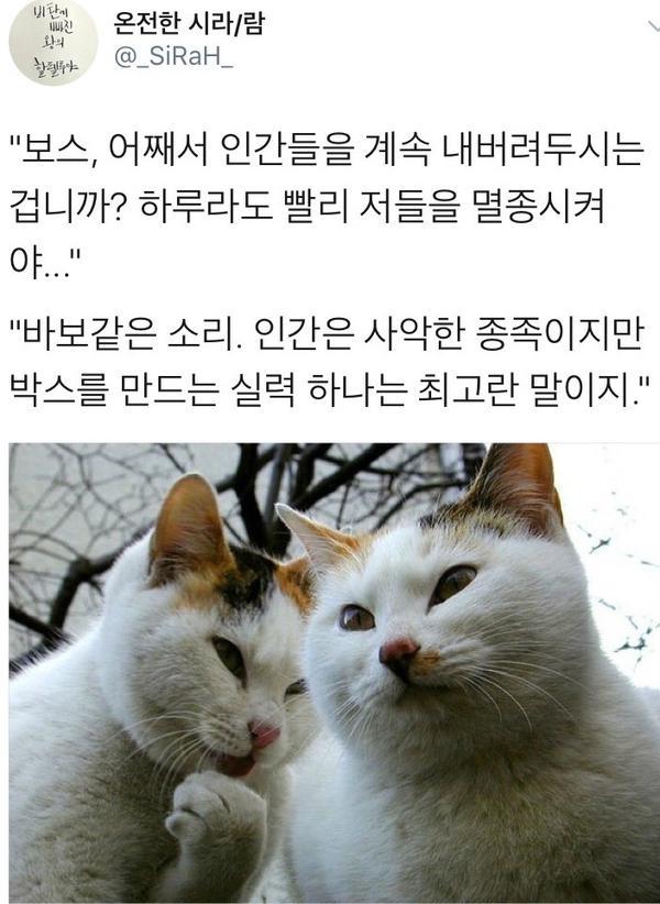 온전한 시라/람
@_SiRaH_
&quot;보스, 어째서 인간들을 계속 내버려두시는 겁니까? 하루라도 빨리 저들을 멸종시켜 야...&quot;
&quot;바보같은 소리. 인간은 사악한 종족이지만 박스를 만드는 실력 하나는 최고란 말이지.&quot;