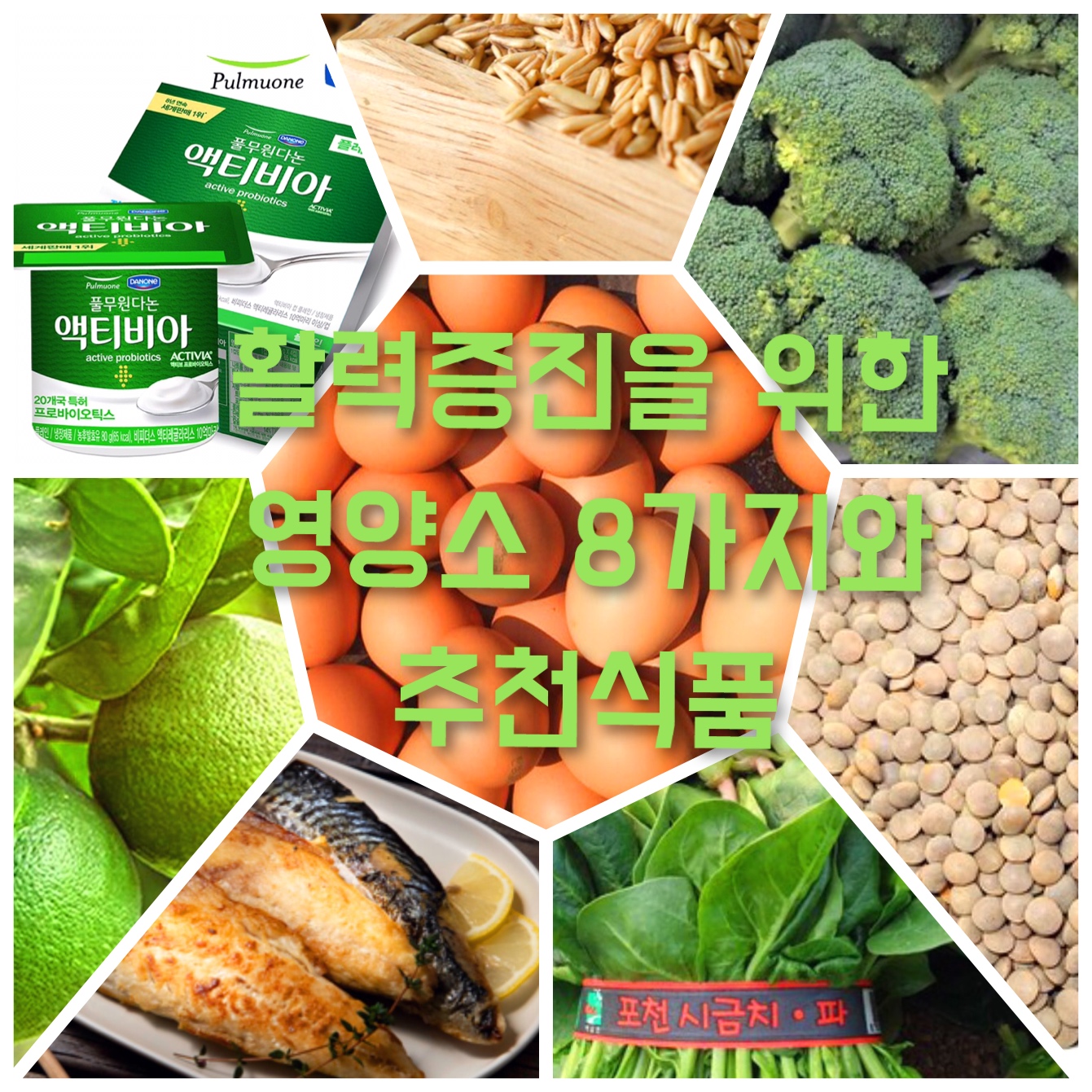  활력 증진을 위한 영양소 8가지와 추천 식품