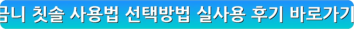 어금니 칫솔 사용법 선택방법 실사용 후기_16