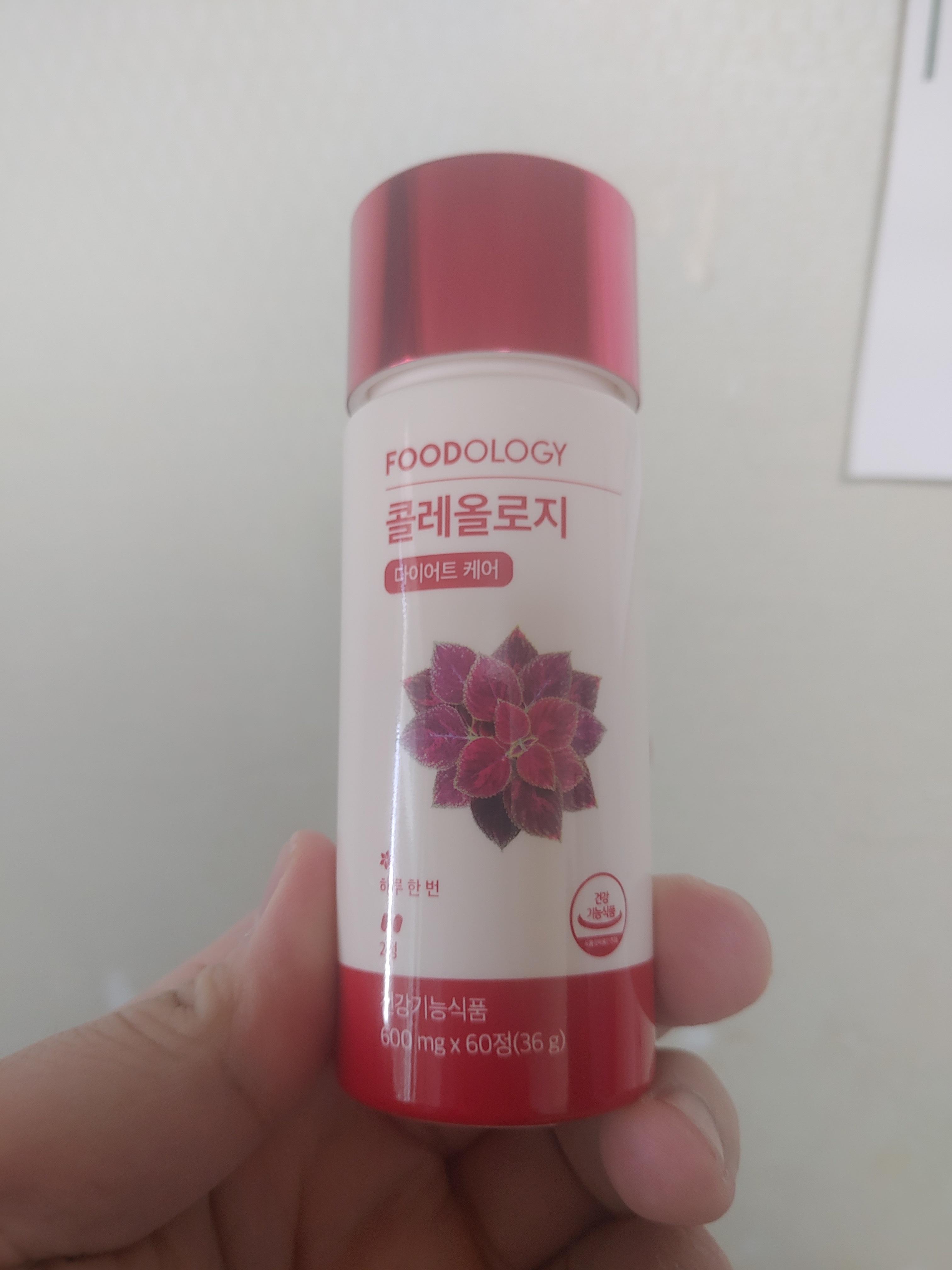  콜레우스포스콜리 푸드올로지 체지방감소 한달 실제 후기