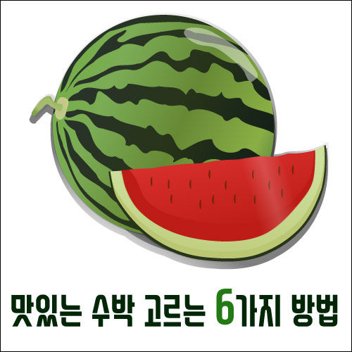 맛있는 수박 고르는법 (당도 높은 수박 고르는 6가지 방법 외)