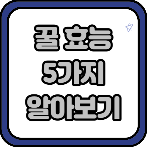 꿀의 효능 5가지 총 정리