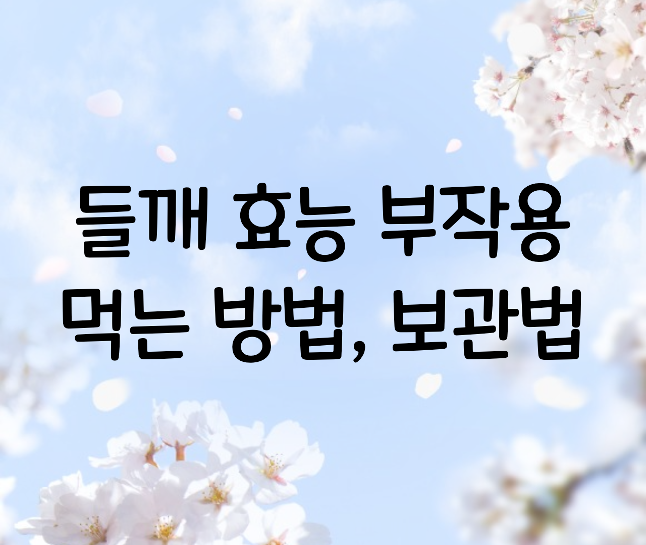  들깨가루 효능, 부작용 들깨 보관법, 먹는방법