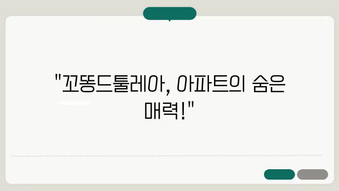 꼬똥드툴레아 애정과 관심