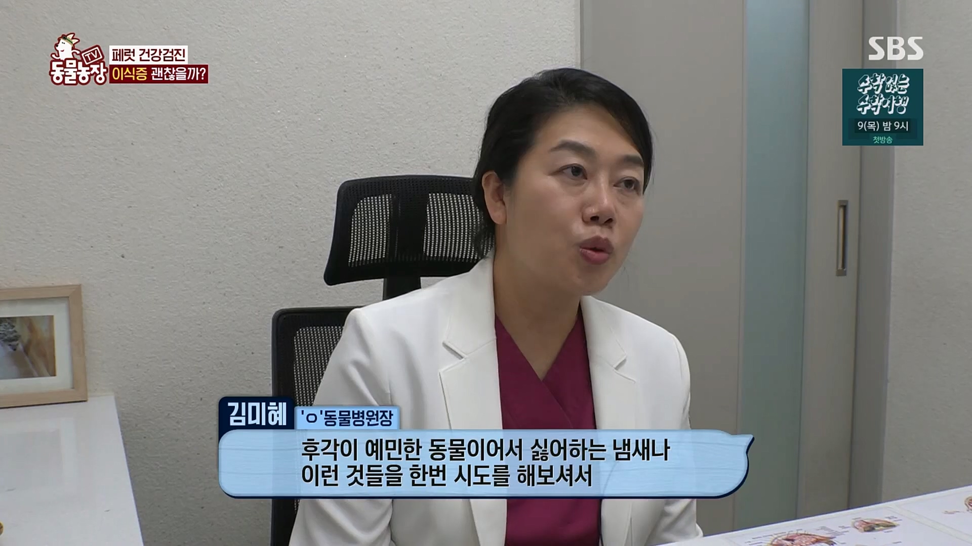 TV 동물농장.E1109.230226p.H264-F1RST.mp4_20230226_161918.214.jpg