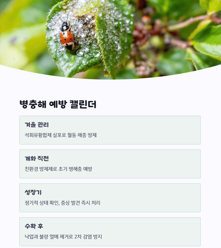 매실나무 병충해 방제 시기