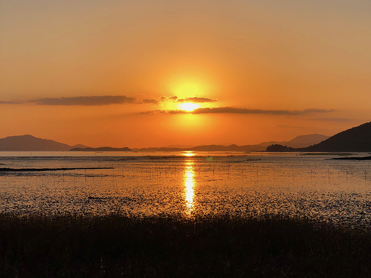 와온해변-노을