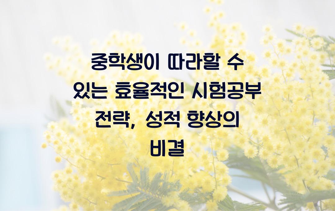 중학생이 따라할 수 있는 효율적인 시험공부 전략
