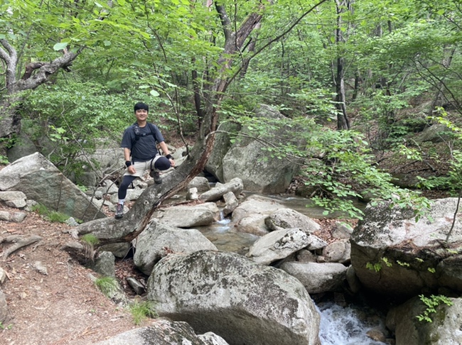 여름산으로 추천하는 괴산 칠보산(778m) 숲속을 거니는 듯 시원해 40