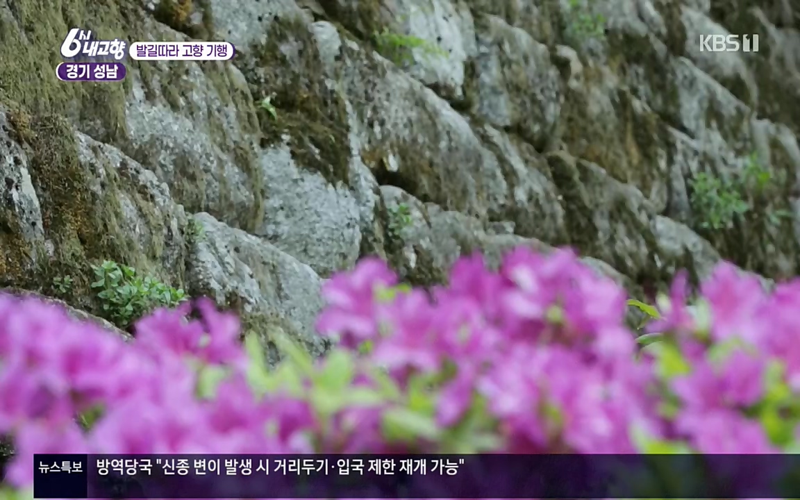 6시 내고향.E7530.220512p.H264-F1RST.mp4_20220516_191227.103.jpg