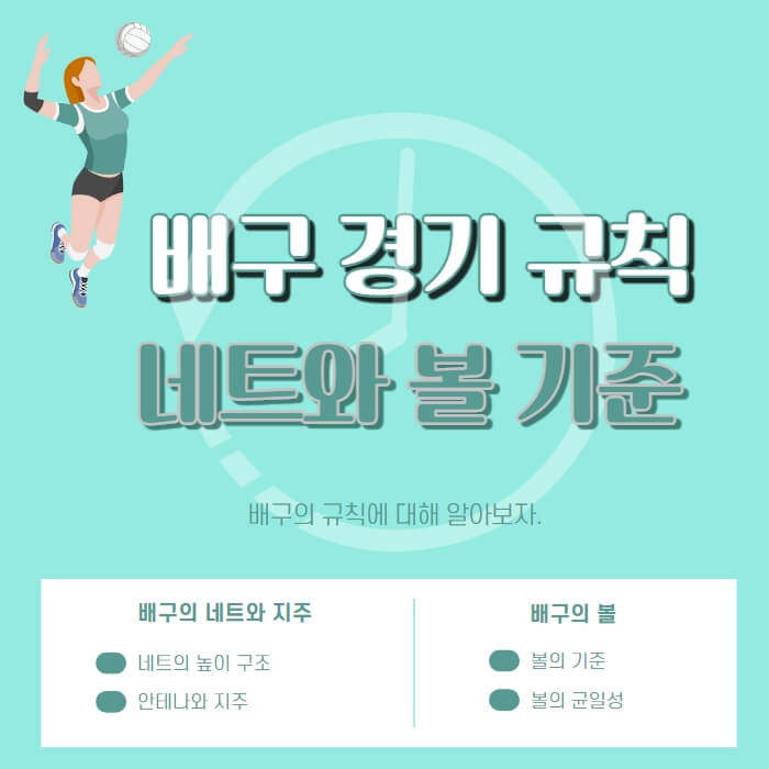  배구 경기 규칙(네트와 볼 기준)