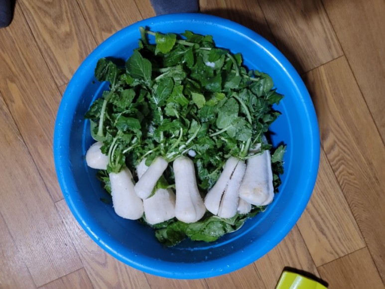 절임 황금 레시피 총각 김치(알타리 김치) 담그는 법, 총각 김치 29