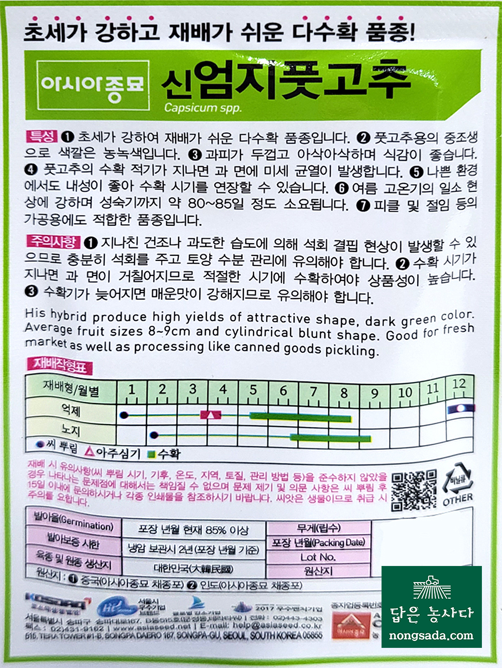 신엄지 풋고추 씨앗종자, 피클전용 풋고추!