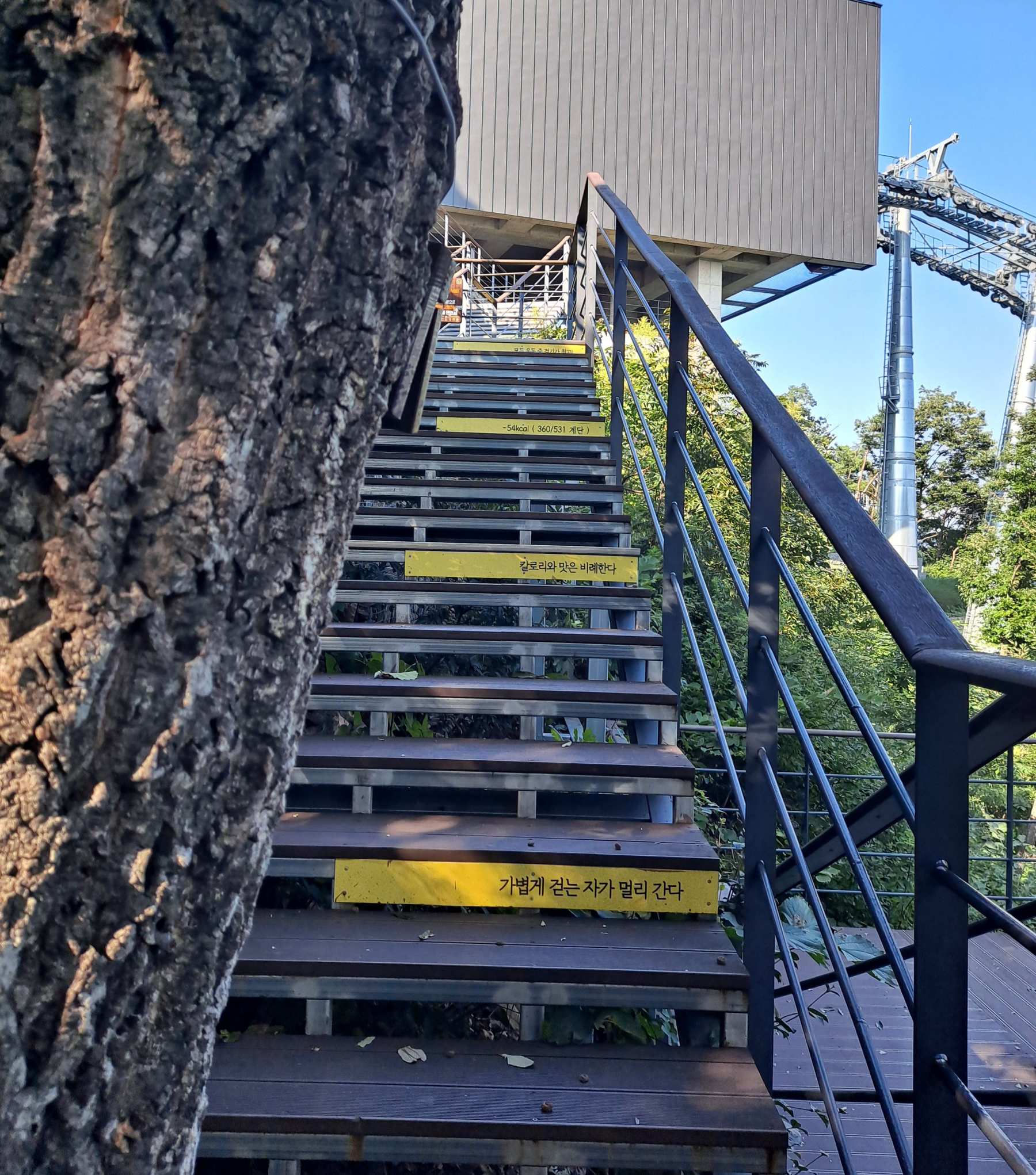 전망대 계단