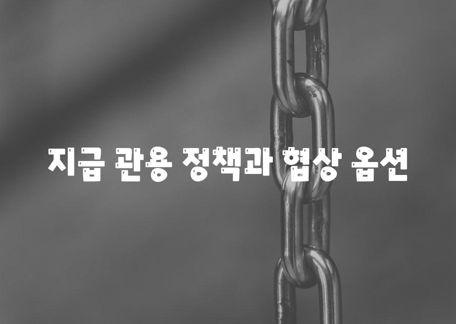 지급 관용 정책과 협상 옵션