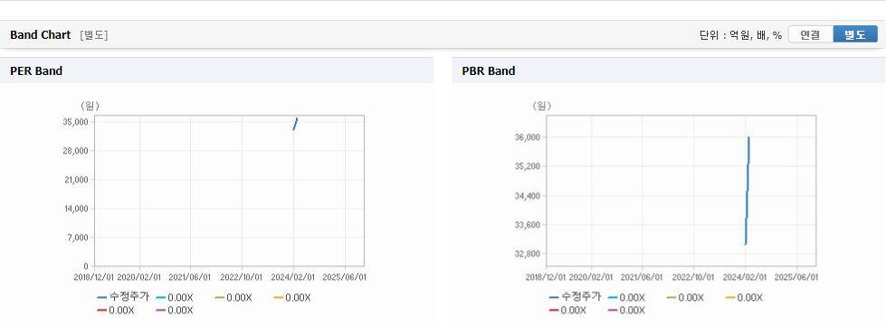 사피엔반도체 주가 가치분석