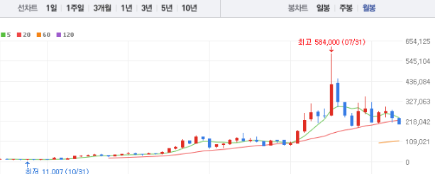 에코프로비엠 주가 전망 목표주가 배당금 확인하기