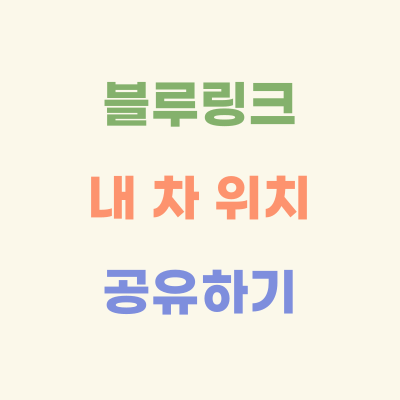 블루링크-내-차-위치-공유하기