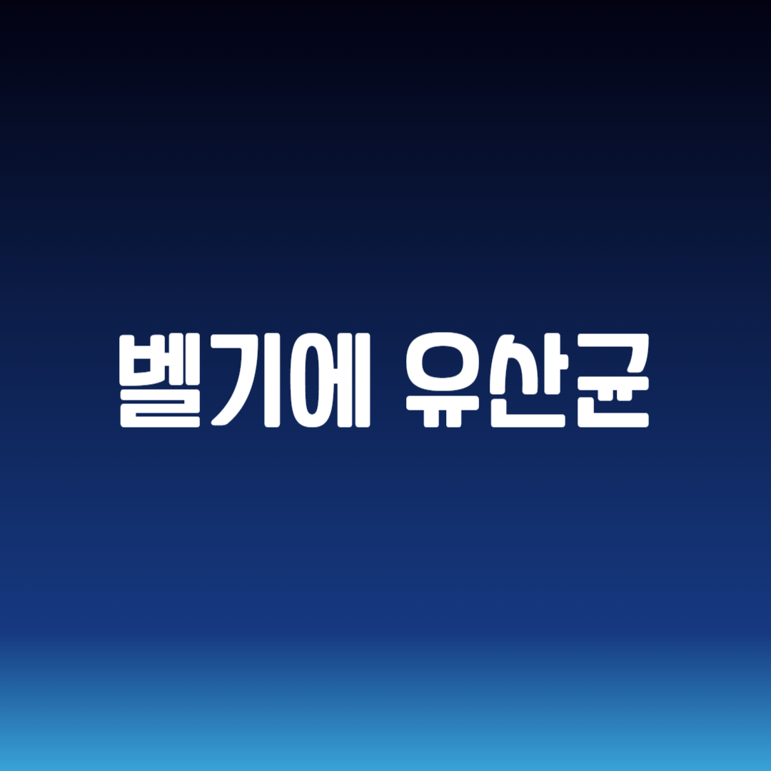 벨기에 유산균
