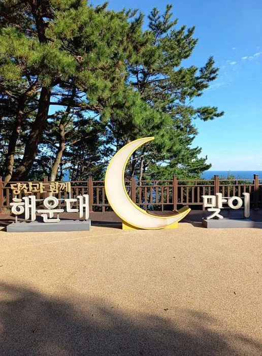 달맞이동산