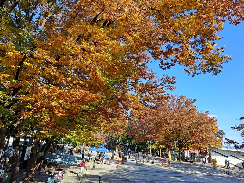 남산공원-팔각정마당