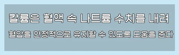  칼륨은 혈액 속 나트륨 수치를 내려 혈압을 안정적으로 유지할 수 있도록 도움을 준다