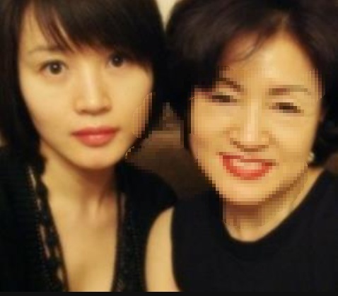  김혜수 모친 빚투 의혹 사건 및 인생사