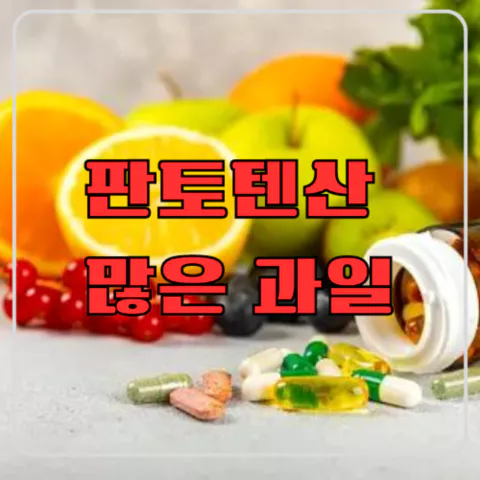 판토텐산 많은 과일