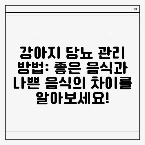 강아지 당뇨 관리 방법: 좋은 음식과 나쁜 음식의 차이를 알아보세요!