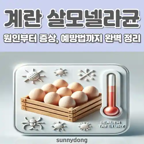 계란 살모넬라균 원인부터 증상, 예방법까지 썸네일