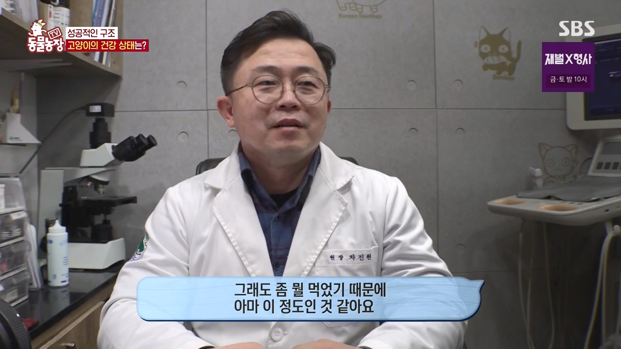 TV 동물농장.E1156.240129p-NEXT.mp4_20240128_191746.486.jpg