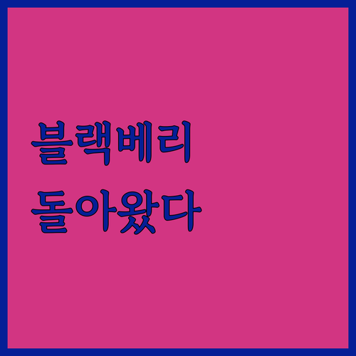 블랙베리 패스포트 Q30 실버 2세대