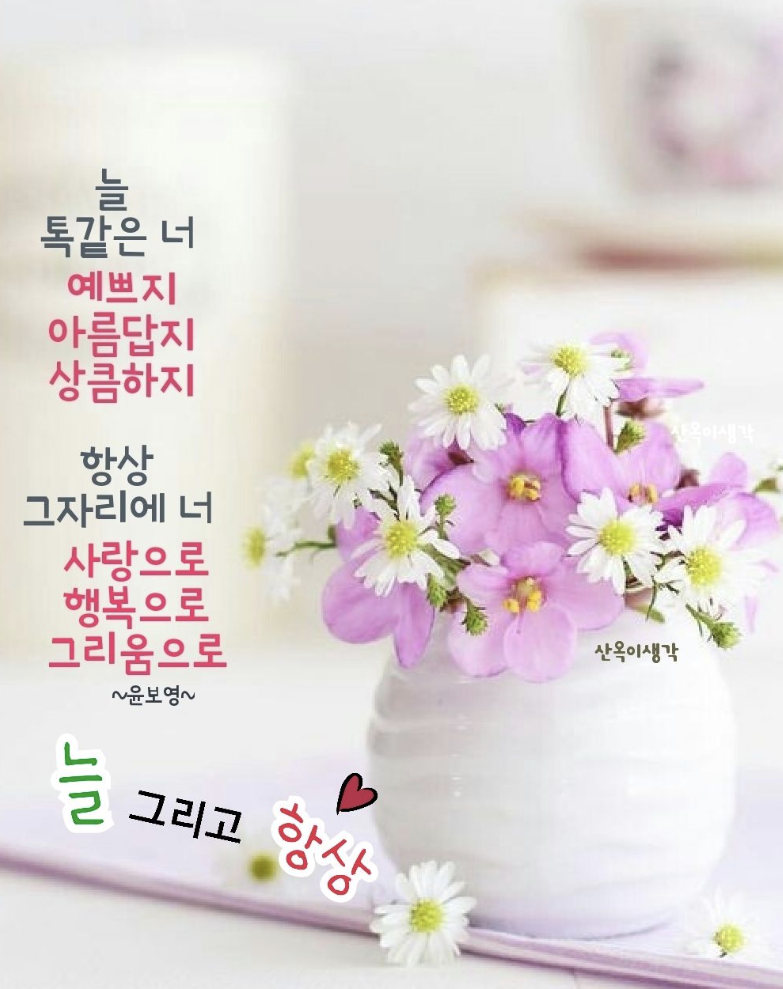 토요일 아침인사말