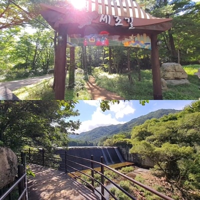  속리산 법주사 세조길 / 피부병에 걸린 세조가 요양차 왔던 길