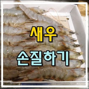  튀김하기 위한 새우 손질하기