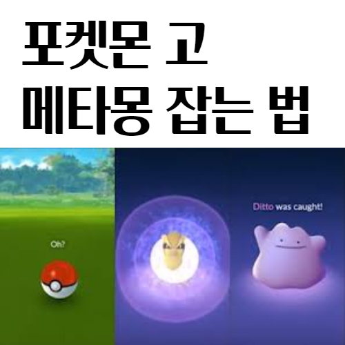 포켓몬고 메타몽 잡는법 공략법