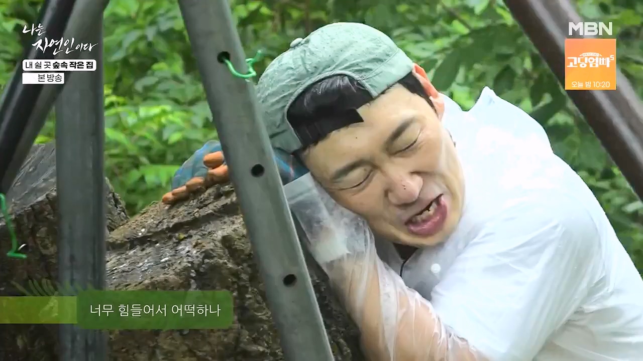 나는 자연인이다.E613.240711p-NEXT.mp4_20240711_195308.196.jpg