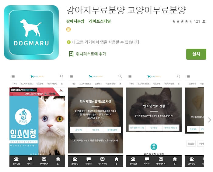 강아지 무료분양 / 유기견 유기묘 고양이 :: 꿀팁정보 강아지 무료분양 / 유기견 유기묘 고양이 :: 꿀팁정보