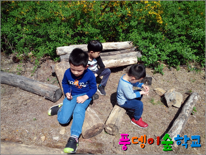 사계절을담다 이미지