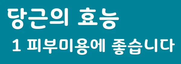 당근의 효능 1 피부미용에 좋습니다