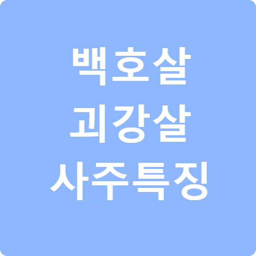 백호살 괴강살 사주 특징