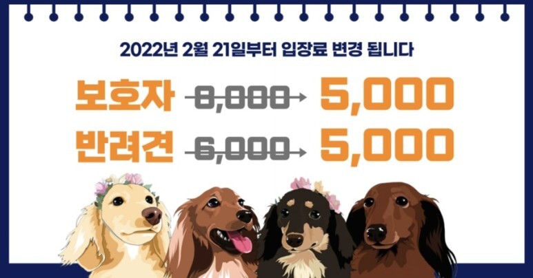 고고카페 이미지