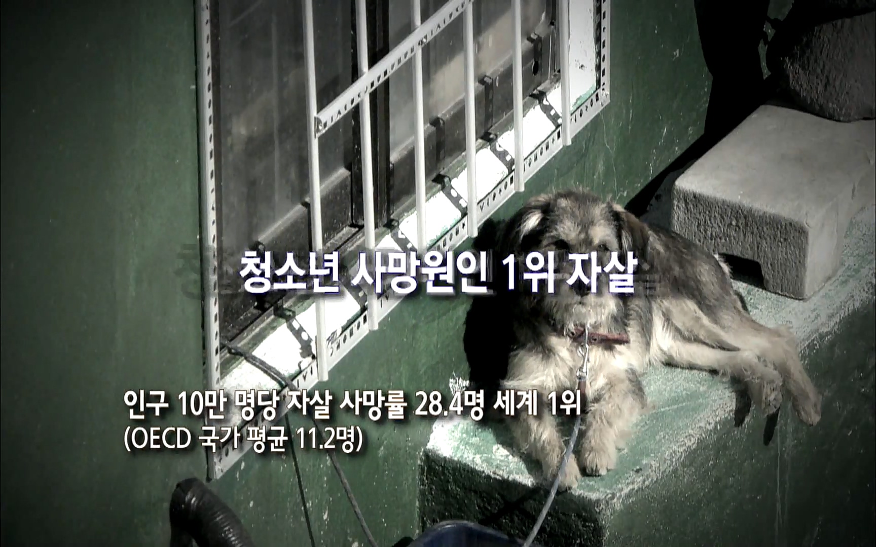 다큐 프라임 - TV - 교육의 중심 EBS자본주의 5부. 국가는 무엇을 해야 하는가.mp4_20220606_183449.472.jpg