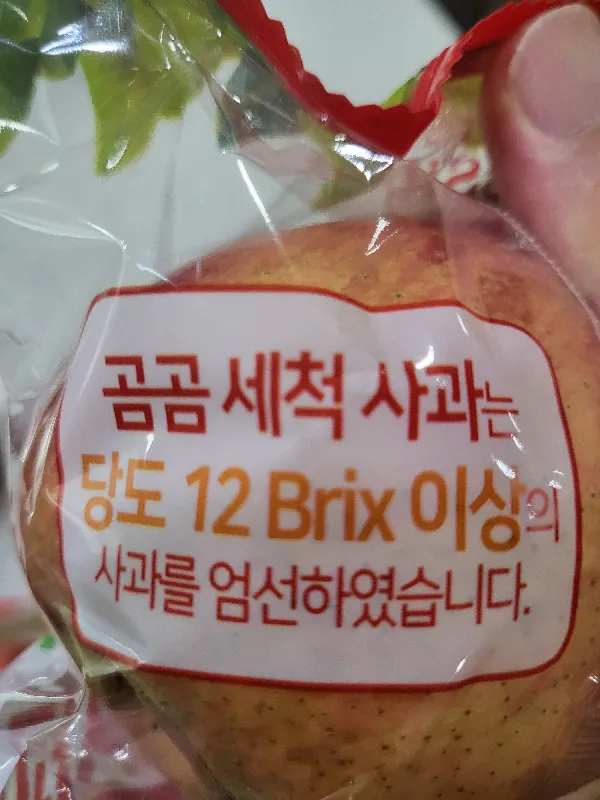 세척사과