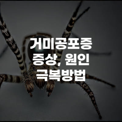 거미공포증 증상과 원인&#44; 극복방법